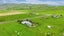 7 Riripeti Street, Nuhaka - Carousel 21