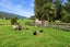 945 Waikite Valley Road, Rotorua - Carousel 20