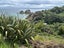 9 Jane York Place, Rakino Island, Auckland - Carousel 8