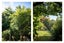 116 Alexander Close, Thames - Carousel 29