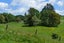 1849 Manawahe Road, Manawahe, Whakatane - Carousel 3