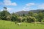 387 Wentworth Valley Road, Whangamata, Whangamata - Carousel 38