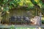 123 Clarendon Terrace, Woolston, Christchurch - Carousel 23