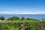 19 Avonbank Place, Marybank, Nelson - Carousel 21