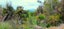 0 Darkies Terrace Road, Charleston, Cape Foulwind - Carousel 15