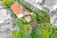 11 Chequers Avenue, Glenfield, Auckland - Carousel 33