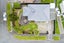 20 Pinfold Avenue, Hamilton East, Hamilton - Carousel 24