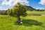 1528 State Highway 14, Whangarei - Carousel 15