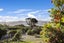 930 Harington Point Road, Harington Point, Dunedin - Carousel 29