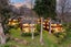 9/31 Rutherfurd Lane, Nukuhau, Taupo - Carousel 13