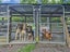 25 Genesis Drive, Christchurch - Carousel 36