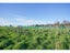 80A Wallacetown Lorneville Highway, Lorneville, Invercargill - Carousel 29