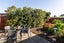 807C Avenue Road East, Parkvale, Hastings - Carousel 11