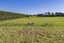 186P Terrace Road, Leithfield, Amberley - Carousel 33
