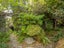 62 Morton Street, Georgetown, Invercargill - Carousel 20