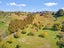 233 Waipapa Block Road, Whakamarama, Western Bay Of Plenty, Bay Of Plenty - Carousel 31
