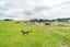 33 Meavy Lane, Ashhurst, Palmerston North - Carousel 50
