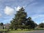 97 Coxhead Road, Manurewa, Auckland - Carousel 10