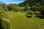 1328 Kaituna-Tuamarina, KAITUNA, BLENHEIM - Carousel 33