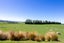 112 Nightcaps Opio Road, Opio, Otautau - Carousel 32