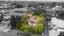 228 Park Road, Hokowhitu, Palmerston North - Carousel 1