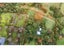 80 Pye Road, Geraldine - Carousel 20
