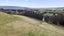 413 East Taieri-Allanton Road, Allanton, Mosgiel - Carousel 21