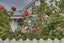 40 South Street, Blenheim - Carousel 23