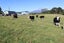 174 Bedford Road North, Kaimiro, Kaimiro - Carousel 2