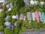 174 Abel Smith Street, Te Aro, Wellington - Carousel 17