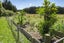 405 Nightcaps-Ohai Highway, OHAI, OTAUTAU - Carousel 27