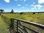 0 Parore West Rd, Parore, Dargaville - Carousel 4