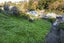 107 Milton Road, Bluff Hill, Napier - Carousel 13