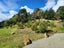 99 Mangamanihi Road, Kaeo - Carousel 13