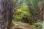 6388A South Road, Pungarehu, Opunake - Carousel 22
