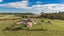 101 Veale Way, Fairdown, Westport - Carousel 21