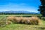 999 Clayton Road, Ashwick Flat, Fairlie - Carousel 22