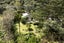 34 Karekare Road, Karekare, Auckland - Carousel 30