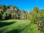 131 Harbutt Road, Te Miro, Cambridge - Carousel 12