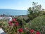 3 Norwest Way, Atawhai, Nelson - Carousel 25