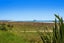 233 Ohiwa Beach Road, Waiotahe, Ōpōtiki - Carousel 10