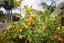 82 Gasson Lane, Pyes Pa, Tauranga - Carousel 33