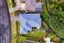 143 Heta Road, Welbourn, New Plymouth - Carousel 21