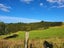 1344 State Highway 12, Oue, Kaikohe - Carousel 11
