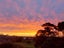 1/159 Norman Lesser Drive, St Johns, Auckland - Carousel 26