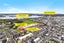 219/81 Mapou Road, Hobsonville, Auckland - Carousel 17