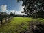 516 Richmond Road, Lepperton, New Plymouth - Carousel 24
