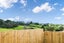 34 Morus Road, Massey, Auckland - Carousel 3