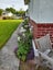8 Waverley Street, East Gore, Gore - Carousel 6