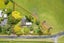 119 Ringer Road, Tauwhare, Hamilton - Carousel 25